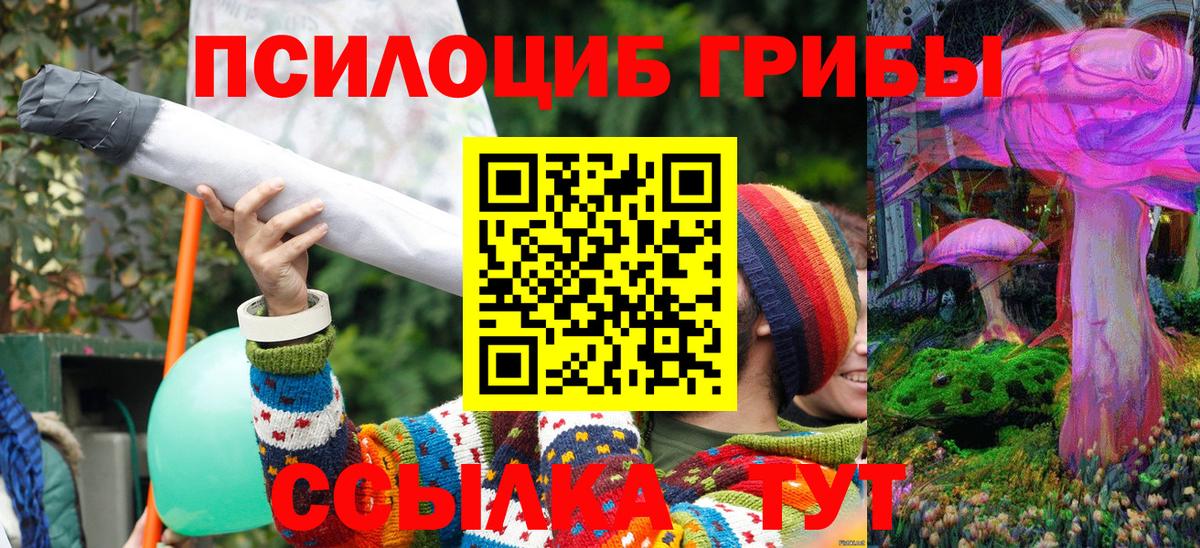 Псилоцибиновые грибы Psilocybe  Вход с VPN  дарнет шоп  Борисоглебск 