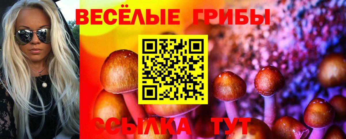 Псилоцибиновые грибы Magic Shrooms Борисоглебск